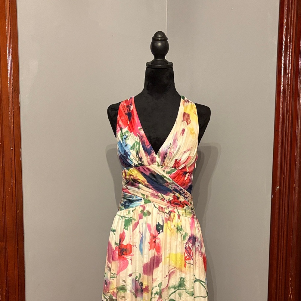 Adrianna Papell Multicolor Backless Dress